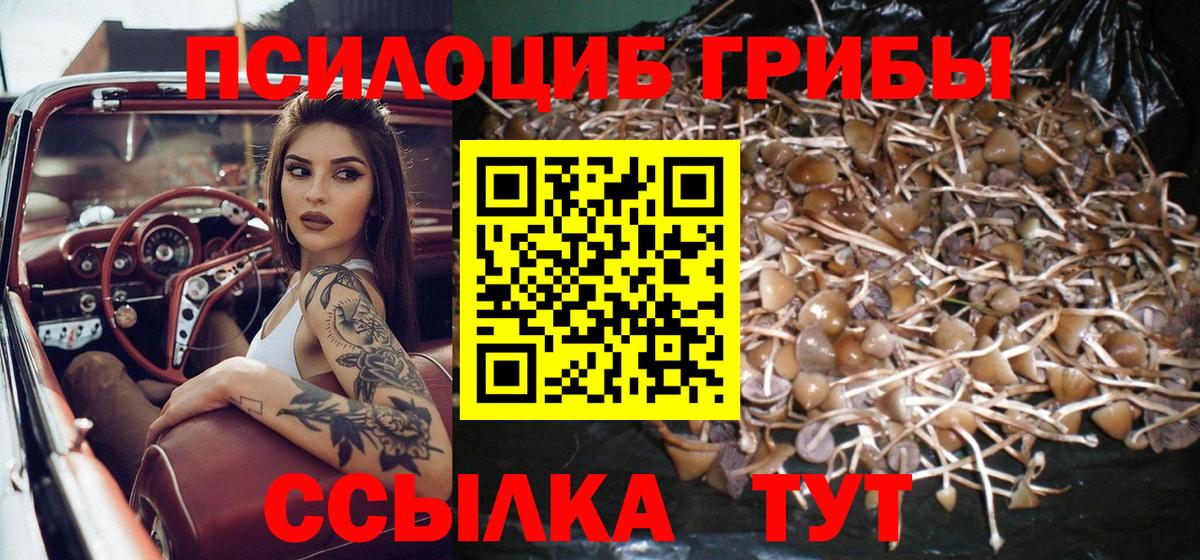 наркотики  Псилоцибиновые грибы мухоморы  Вход с VPN  Владимир 